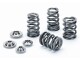 Valve Spring Kit Opel / Vauxhall Z20LET | SPRK-TS1012-Z20