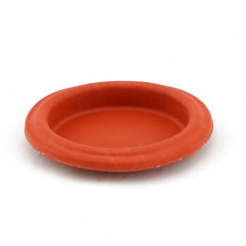 IWG75 Diaphragm Replacement | TS-0600-2001