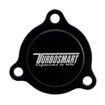 Mini R56 BOV Blanking Plate | TS-0203-1103