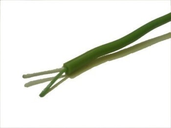 Exhaust Gas Temperature Connection Cable