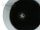 Racing Catalytic Converter