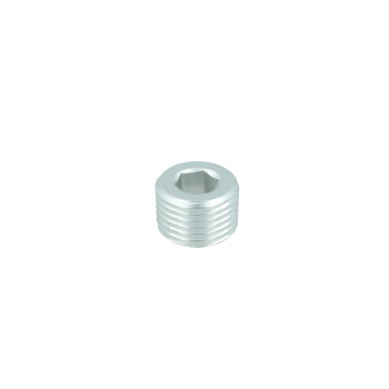 1/8" NPT Plug - satin silver