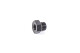 -06 AN / Dash 6 ORB to 1/8" NPT female fitting