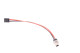 Bulkhead harness - Internal single Walbro GSS342 pump
