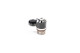 -10 AN / Dash 10 ORB swivel banjo to -08 AN / Dash 8 - male