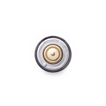Chevrolet Corvette C7 Thermostat, 2014-2019 | MMTS-VET-14