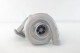 Turbocharger Garrett (466742-0009)