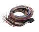 Link ECU B Loom Long (5LB)