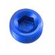-04 (1/4") NPT hex head pipe plug - blue - 2 / pkg | RHP