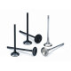 (GER) Supertech Mazda / Ford Duratec 2.0 / 2.3L Einlassventil - MAIVN-2301D | MAIVN-2301D