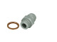 Fitting / 1/4 G -06 AN / Dash 6