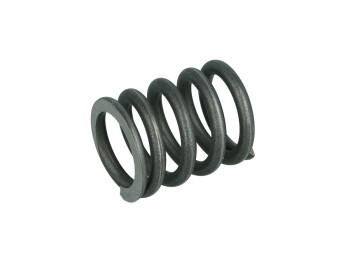 Spare Part for Fuel pressure regulator / Regulator spring