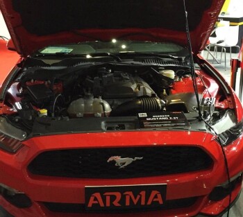Carbon Airbox Air Intake Ford Mustang 2.3 Ecoboost