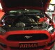 Carbon Airbox Air Intake Ford Mustang 2.3 Ecoboost