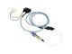 Zada Tech wideband AFR controller with Bosch LSU ADV sensor