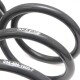 Dynamic+ Lowering Springs, Performance Spring Set, Audi S3 With Audi Magnetic Ride (2015-2017)