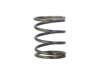 Wastegate spring brown/purple (mid) Gen-4...