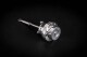 Actuator for Vauxhall Corsa 1.4T Vauxhall (Opel) Corsa 1.4 Turbo
