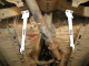 2x 2-Point Rear Brace for Mazda RX7 FC 86-91